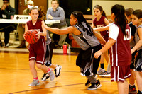 SCS 7-8 year old basketball